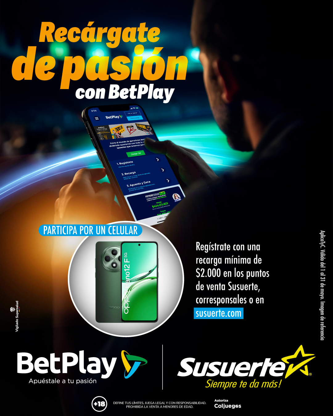 Descripción de la imagen