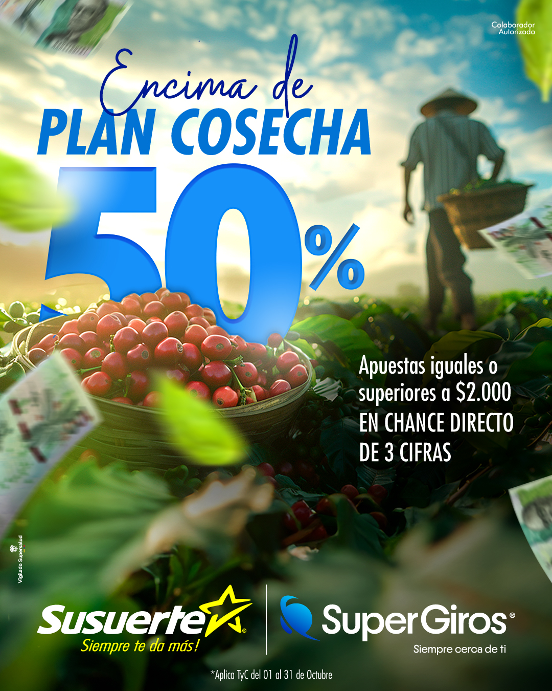 Descripción de la imagen